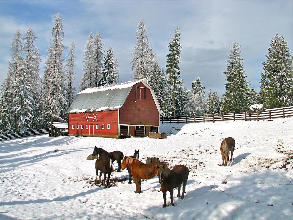 Western Pleasure Guest Ranch Sandpoint Exterior foto